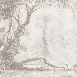 Carta da parati Wallpainting - Adriani & Rossi